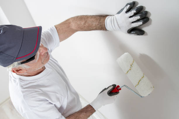 Best Real Estate Mold Inspection  in Lake Los Angeles, CA
