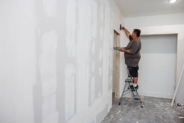 Best Emergency Mold Remediation  in Lake Los Angeles, CA