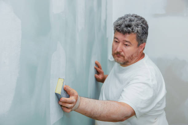 Mold Remediation for Rental Properties in Lake Los Angeles, CA